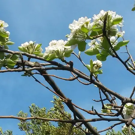 Caza Sereyna 아비뇽
